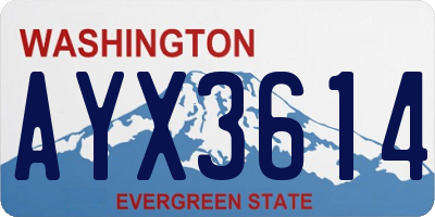 WA license plate AYX3614