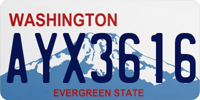 WA license plate AYX3616