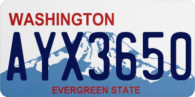 WA license plate AYX3650