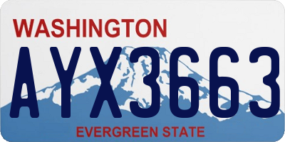 WA license plate AYX3663