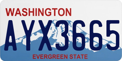 WA license plate AYX3665