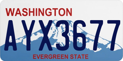 WA license plate AYX3677