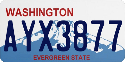 WA license plate AYX3877