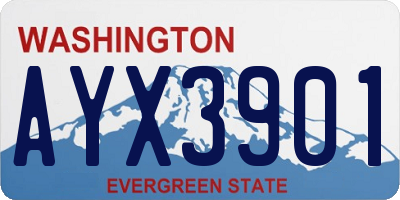 WA license plate AYX3901