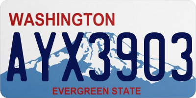 WA license plate AYX3903