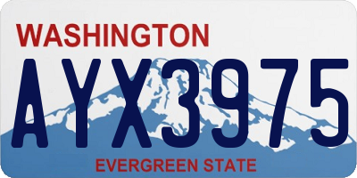 WA license plate AYX3975