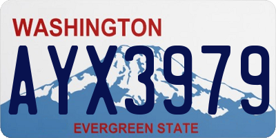 WA license plate AYX3979