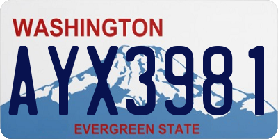 WA license plate AYX3981