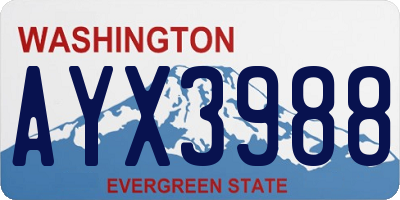 WA license plate AYX3988