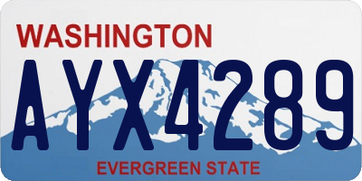 WA license plate AYX4289