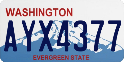 WA license plate AYX4377