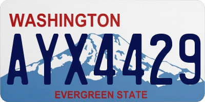 WA license plate AYX4429