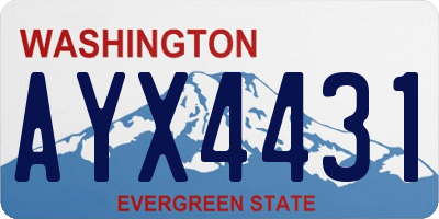 WA license plate AYX4431