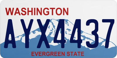 WA license plate AYX4437