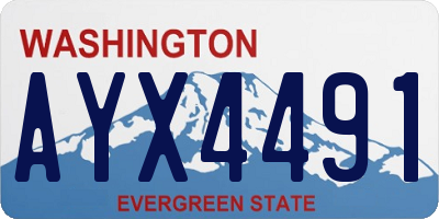 WA license plate AYX4491