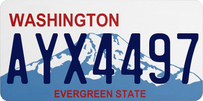 WA license plate AYX4497