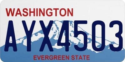 WA license plate AYX4503