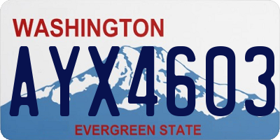 WA license plate AYX4603