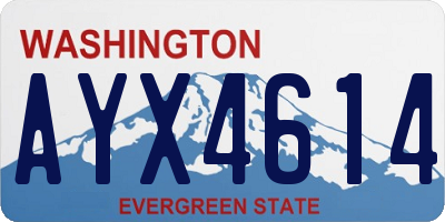 WA license plate AYX4614