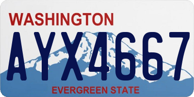 WA license plate AYX4667