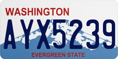 WA license plate AYX5239