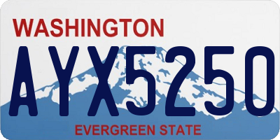 WA license plate AYX5250