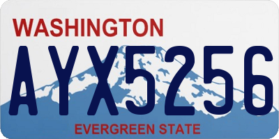 WA license plate AYX5256