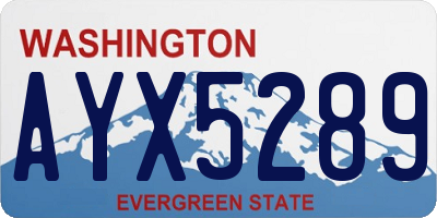 WA license plate AYX5289