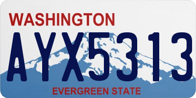 WA license plate AYX5313