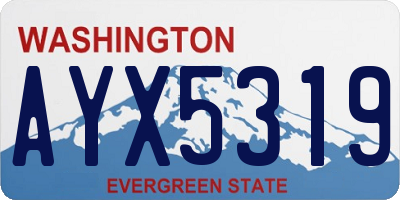 WA license plate AYX5319