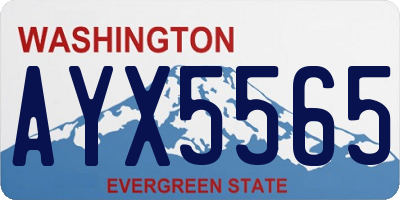 WA license plate AYX5565