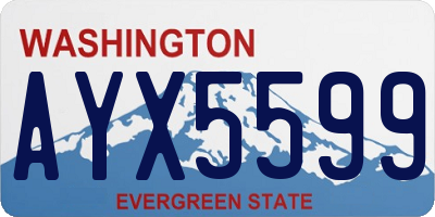 WA license plate AYX5599