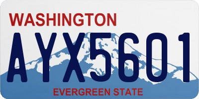 WA license plate AYX5601