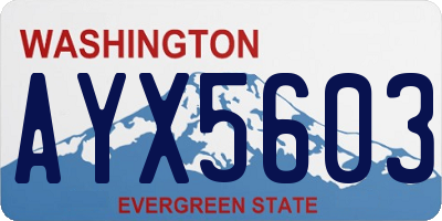 WA license plate AYX5603