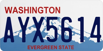 WA license plate AYX5614