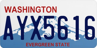 WA license plate AYX5616