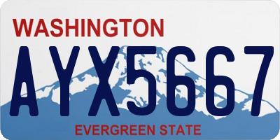 WA license plate AYX5667