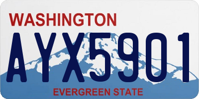 WA license plate AYX5901