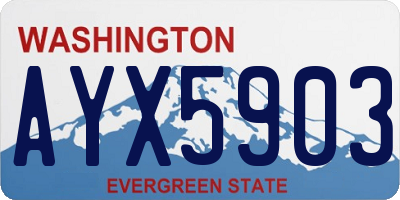 WA license plate AYX5903