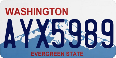 WA license plate AYX5989