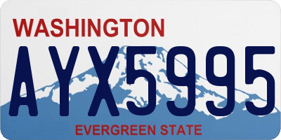 WA license plate AYX5995