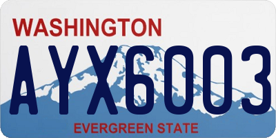 WA license plate AYX6003