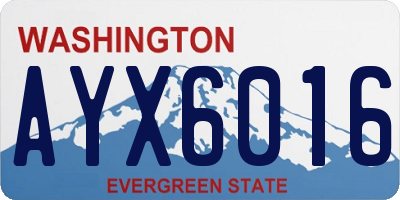 WA license plate AYX6016