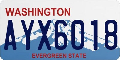 WA license plate AYX6018