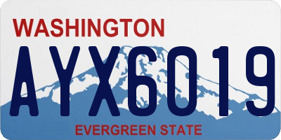 WA license plate AYX6019