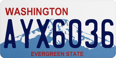 WA license plate AYX6036