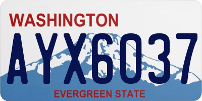 WA license plate AYX6037