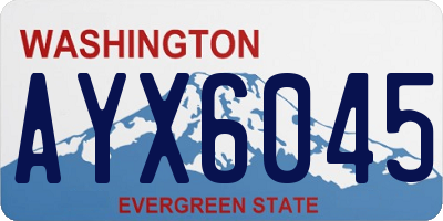 WA license plate AYX6045