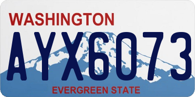 WA license plate AYX6073