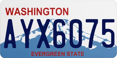 WA license plate AYX6075